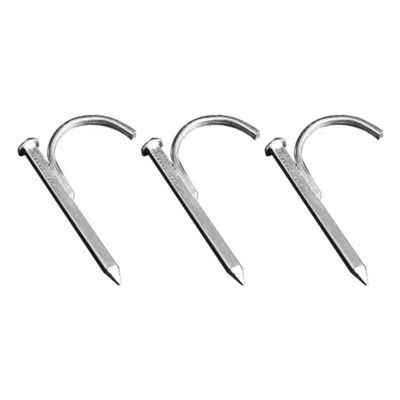 qualité  High Hardness Galvanized Pipe Hook Nails Support Customization usine